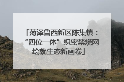 菏泽鲁西新区陈集镇：“四位一体”织密禁烧网 绘就生态新画卷