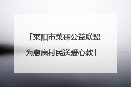 莱阳市菜哥公益联盟为患病村民送爱心款