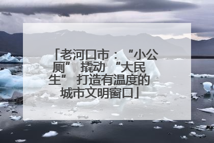 老河口市：“小公厕” 撬动 “大民生” 打造有温度的城市文明窗口