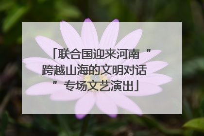 联合国迎来河南“跨越山海的文明对话”专场文艺演出