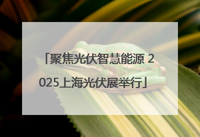 聚焦光伏智慧能源 2025上海光伏展举行