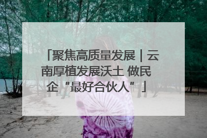 聚焦高质量发展｜云南厚植发展沃土 做民企“最好合伙人”