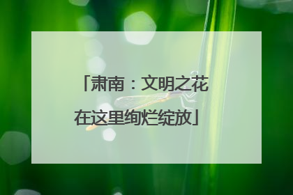 肃南：文明之花在这里绚烂绽放