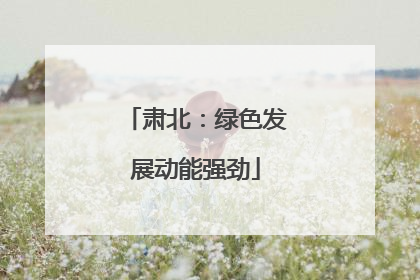 肃北：绿色发展动能强劲