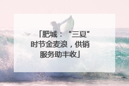 肥城：“三夏”时节金麦浪，供销服务助丰收