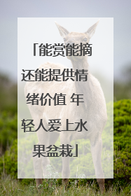 能赏能摘还能提供情绪价值 年轻人爱上水果盆栽