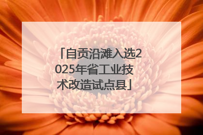 自贡沿滩入选2025年省工业技术改造试点县