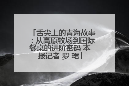 舌尖上的青海故事：从高原牧场到国际餐桌的进阶密码 本报记者 罗 珺