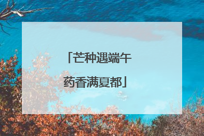 芒种遇端午 药香满夏都