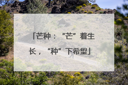 芒种：“芒”着生长，“种”下希望