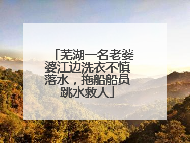 芜湖一名老婆婆江边洗衣不慎落水，拖船船员跳水救人