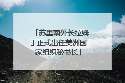 苏里南外长拉姆丁正式出任美洲国家组织秘书长