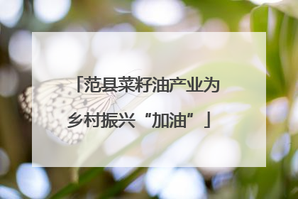 范县菜籽油产业为乡村振兴“加油”