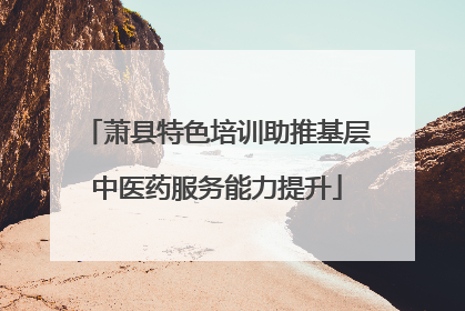 萧县特色培训助推基层中医药服务能力提升