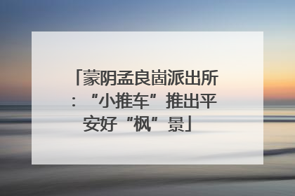 蒙阴孟良崮派出所：“小推车”推出平安好“枫”景