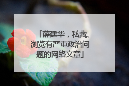 薛建华，私藏、浏览有严重政治问题的网络文章