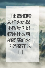 蚂蚁怕啥怎样灭蚂蚁不留痕？蚂蚁用什么药能彻底消灭？答案在这！