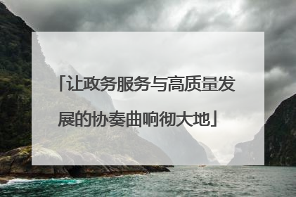 让政务服务与高质量发展的协奏曲响彻大地