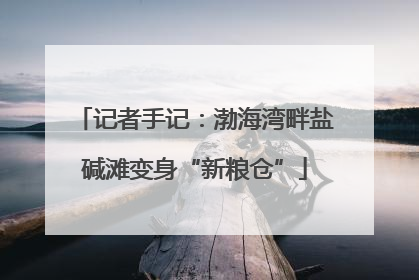 记者手记：渤海湾畔盐碱滩变身“新粮仓”