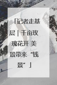 记者走基层｜千亩玫瑰花开 美景带来“钱景”