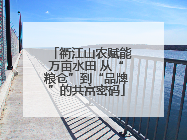 衢江山农赋能万亩水田 从“粮仓”到“品牌”的共富密码