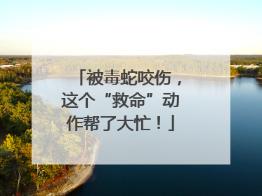 被毒蛇咬伤，这个“救命”动作帮了大忙！