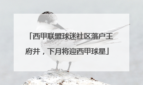 西甲联盟球迷社区落户王府井，下月将迎西甲球星