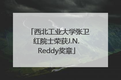 西北工业大学张卫红院士荣获J.N.Reddy奖章