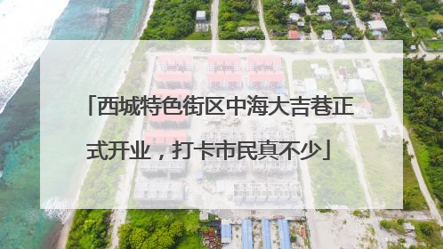 西城特色街区中海大吉巷正式开业，打卡市民真不少