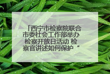 西宁市检察院联合市委社会工作部举办检察开放日活动 检察官讲述如何保护“少年的你”