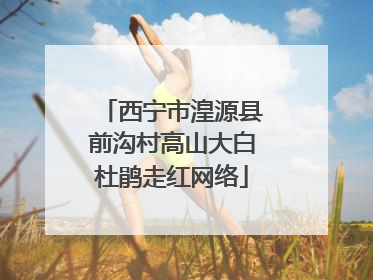西宁市湟源县前沟村高山大白杜鹃走红网络