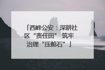 西峰公安：深耕社区“责任田” 筑牢治理“压舱石”