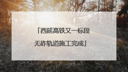 西延高铁又一标段无砟轨道施工完成