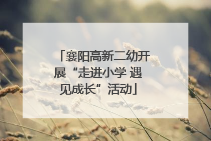 襄阳高新二幼开展“走进小学 遇见成长”活动