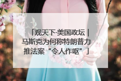 观天下·美国政坛｜马斯克为何称特朗普力推法案“令人作呕”