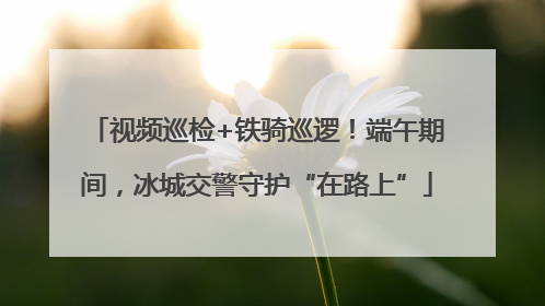 视频巡检+铁骑巡逻！端午期间，冰城交警守护“在路上”