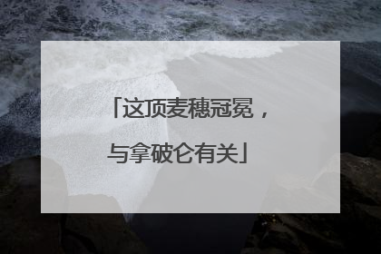 这顶麦穗冠冕，与拿破仑有关