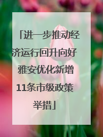 进一步推动经济运行回升向好 雅安优化新增11条市级政策举措