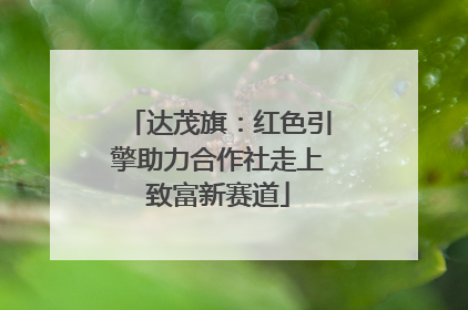 达茂旗：红色引擎助力合作社走上致富新赛道