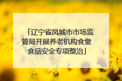 辽宁省凤城市市场监管局开展养老机构食堂食品安全专项整治