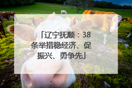 辽宁抚顺：38条举措稳经济、促振兴、勇争先