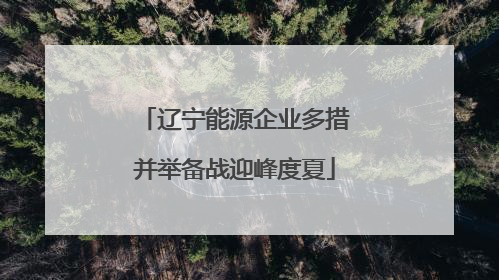辽宁能源企业多措并举备战迎峰度夏