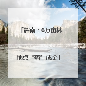 辉南：6万亩林地点“药”成金