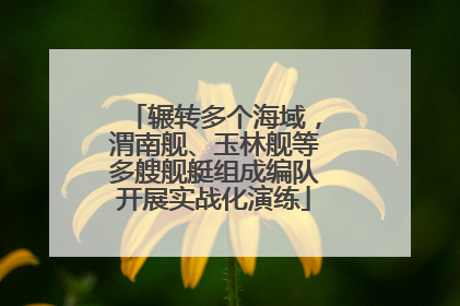 辗转多个海域，渭南舰、玉林舰等多艘舰艇组成编队开展实战化演练