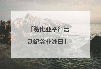 赞比亚举行活动纪念非洲日