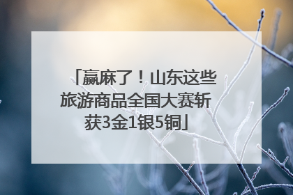 赢麻了！山东这些旅游商品全国大赛斩获3金1银5铜