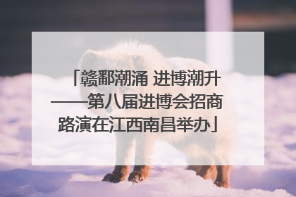 赣鄱潮涌 进博潮升——第八届进博会招商路演在江西南昌举办