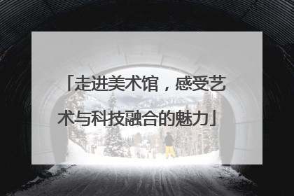 走进美术馆，感受艺术与科技融合的魅力