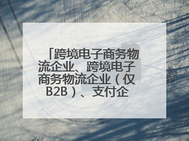 跨境电子商务物流企业、跨境电子商务物流企业（仅B2B）、支付企业备案操作指南