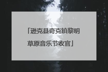逊克县奇克镇黎明草原音乐节收官